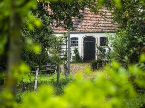 Gut Alt Necheln Garten